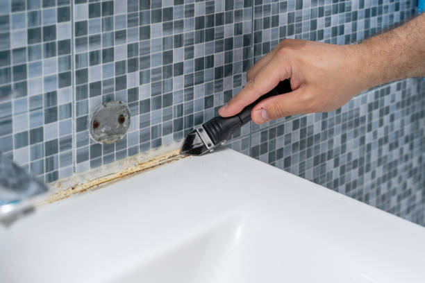 Best Office Mold Removal Services  in South Fulton, GA